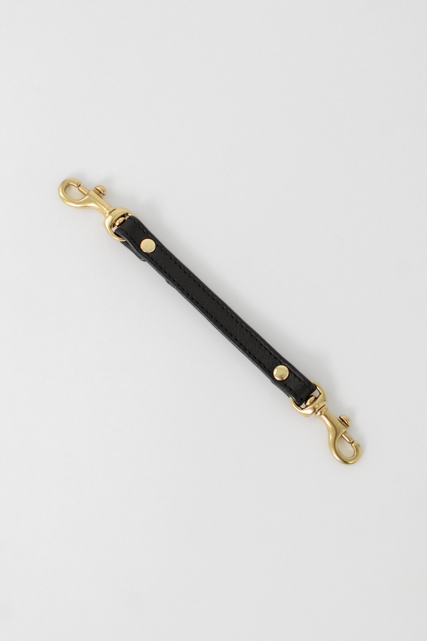 Black leather strap with gold hardware on a light gray background