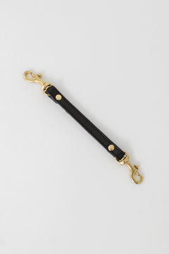 Black leather strap with gold hardware on a light gray background