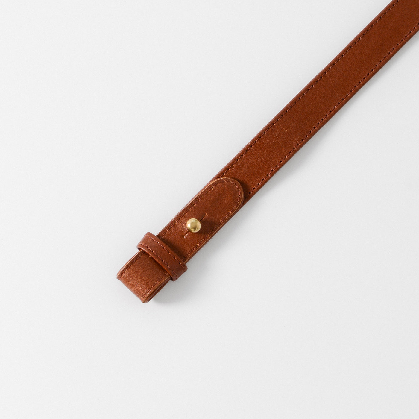 Mini Shoulder Strap